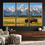 Bison in Mountain Landscape Wall Art Canvas Print, Western Decor