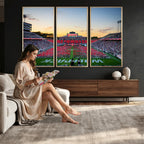 NC State Wolfpack Football Team Print Wall Art, Raleigh