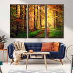 Sunlight Through Trees Wall Art Canvas Print | Autumn Forest Wall Art
