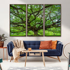 Ancient Tree Wall Art Canvas Print, Framed Sprawling Branches