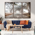 Cypress Tunnel Wall Art | Framed Misty Road Canvas Artwork