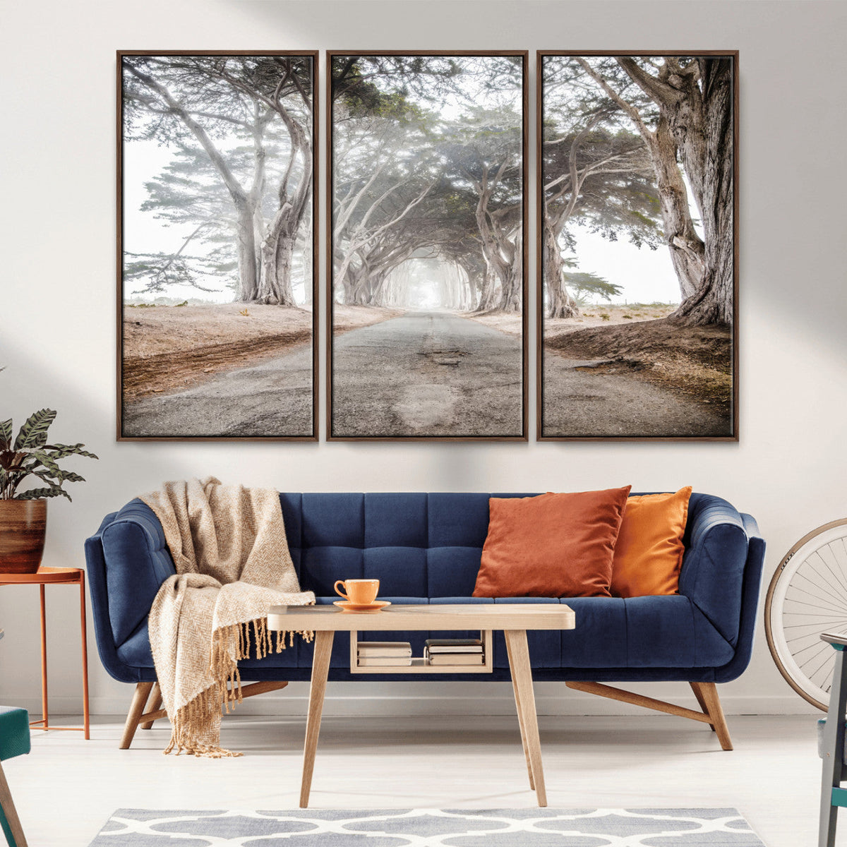 Cypress Tunnel Wall Art | Framed Misty Road Canvas Artwork