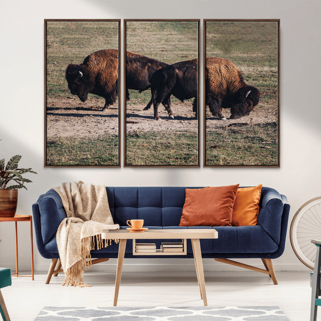 Bison Wall Art Canvas Print, Framed Western Wildlife Modern Ranch