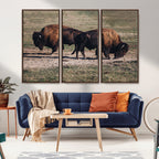 Bison Wall Art Canvas Print, Framed Western Wildlife Modern Ranch