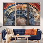 Tree Rings Wall Art Canvas Print, Framed Petrified Wood Art, Modern Rustic Decor