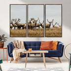 Elk Herd Wall Art Canvas Print, Framed Wildlife Photography Art, Majestic Antlers Rustic Wildlife Decor