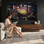 Oklahoma Memorial Stadium, Gaylord Memorial Stadium Wall Art
