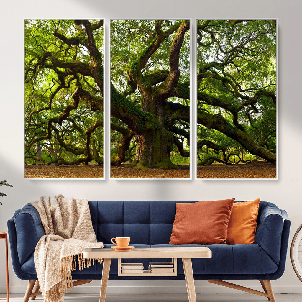 Angel Oak Tree Wall Art Canvas Print | Forest Tree Nature Photography Print