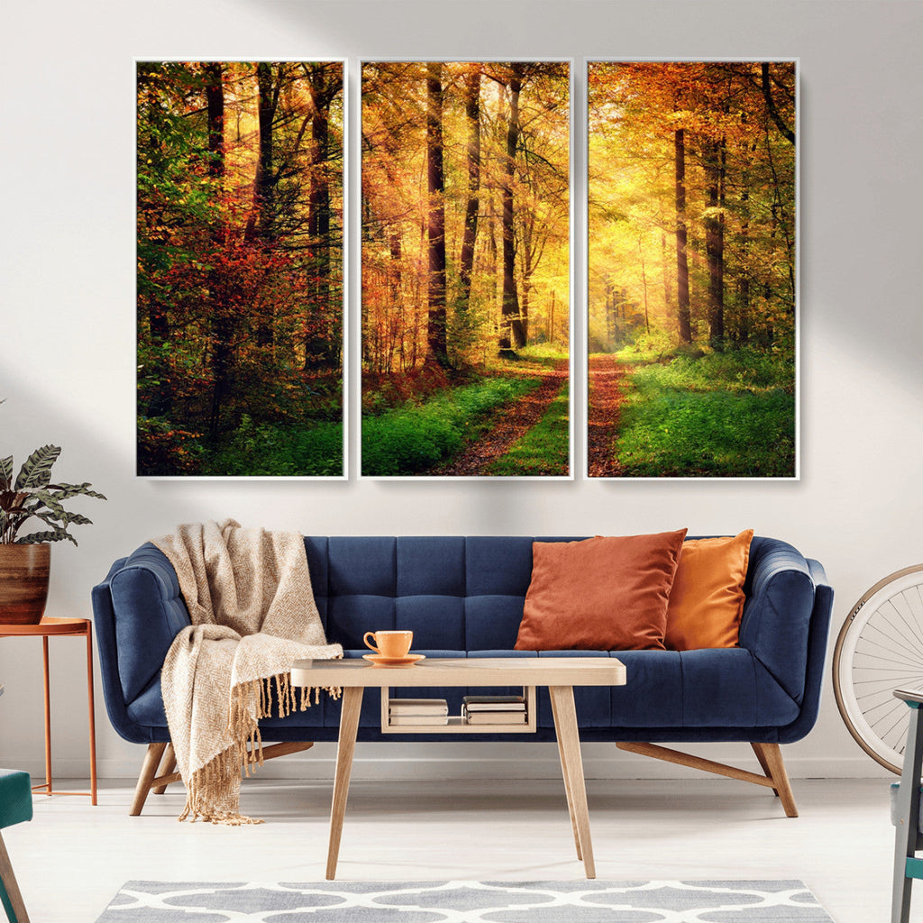 Sunlight Through Trees Wall Art Canvas Print | Autumn Forest Wall Art