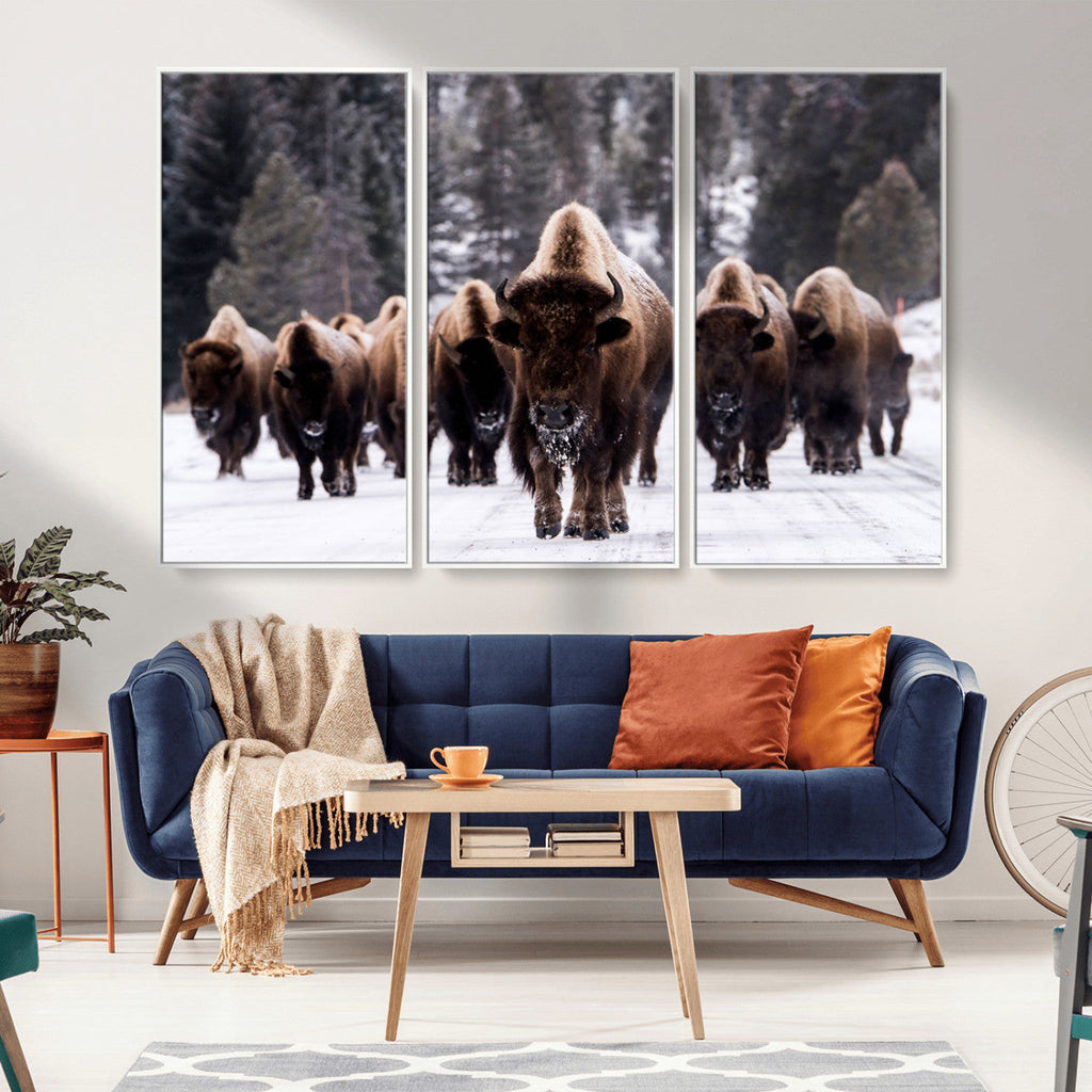 Bison Wall Art Canvas Print, Bison Herd Canvas Wall Art