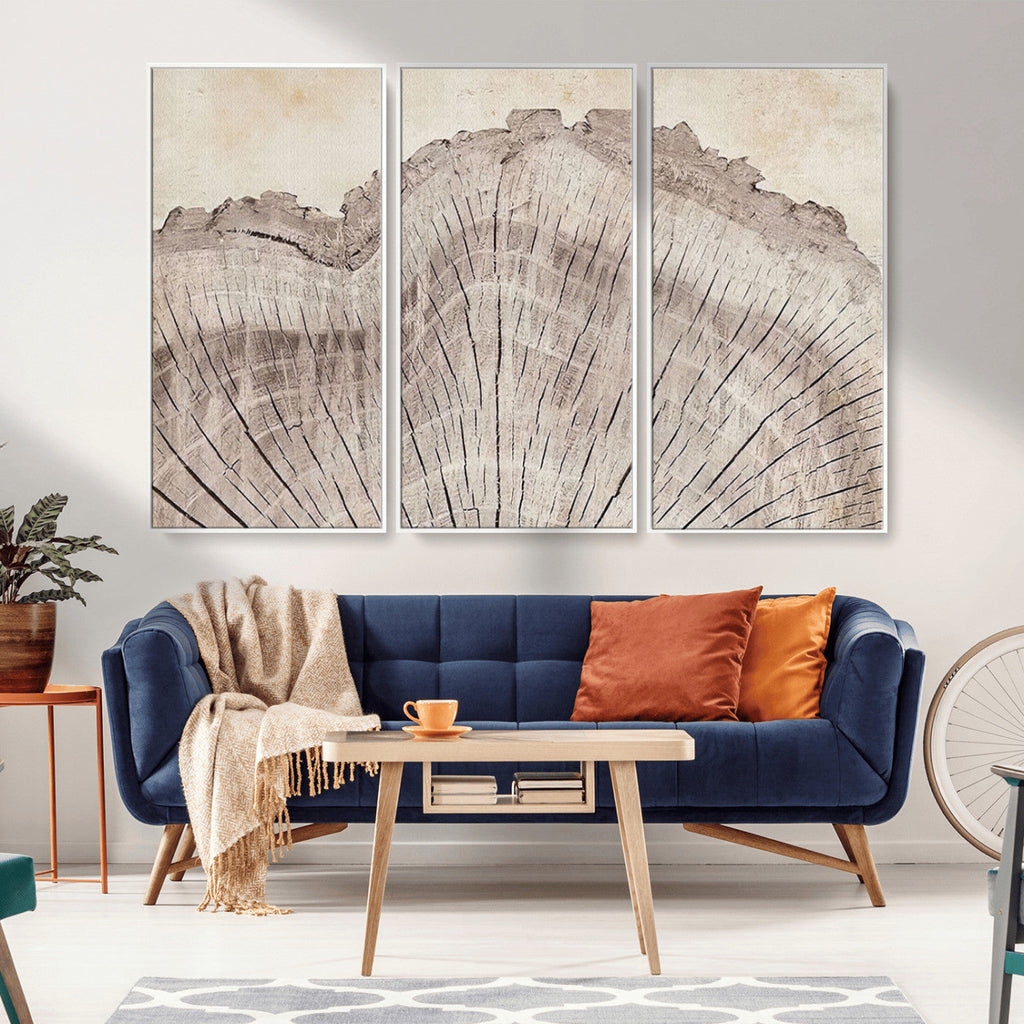 Tree Ring Wall Art Triptych, Rustic Wood Ring Canvas Print