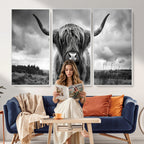 Scottish Cow Wall Art Canvas Print, Longhorn Wall Art