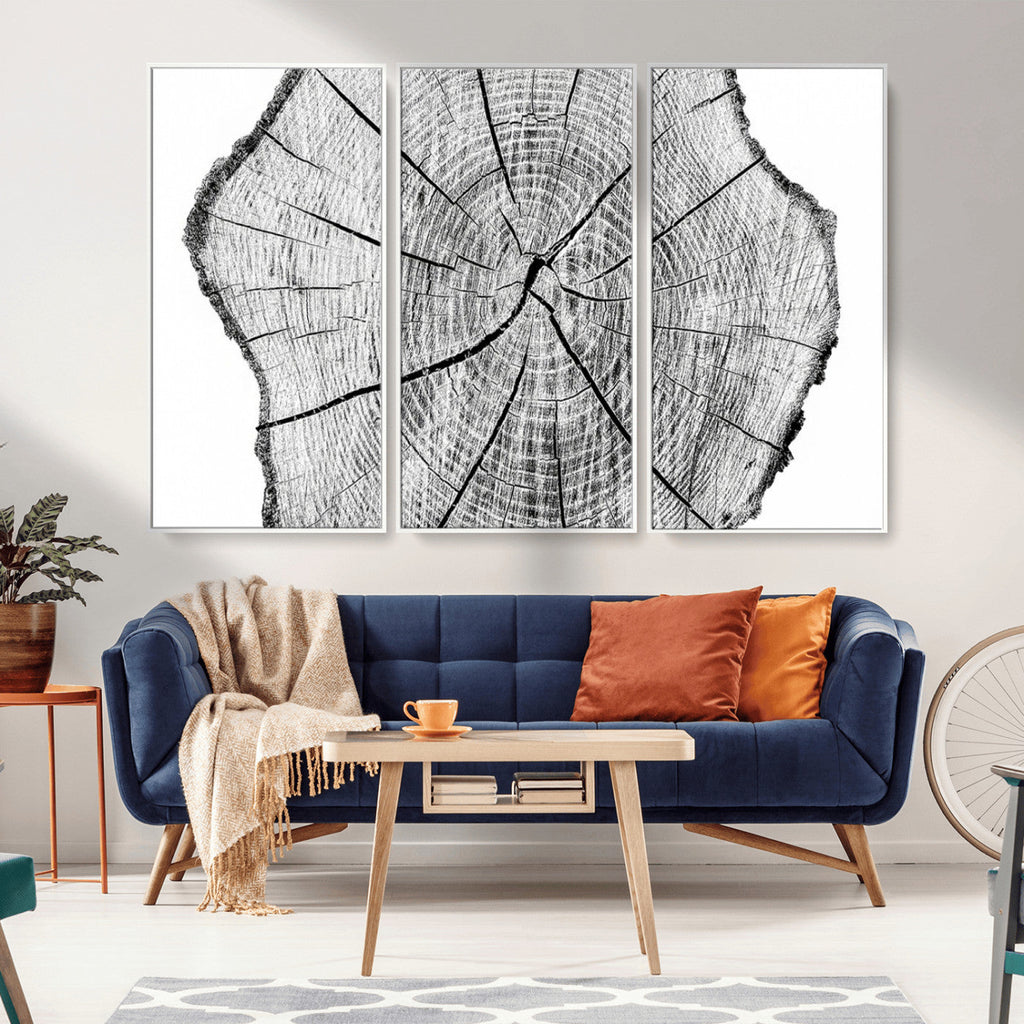 Rustic Tree Ring Wall Art Canvas Print, Framed and Ready to Hang