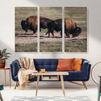 Bison Wall Art Canvas Print, Framed Western Wildlife Modern Ranch