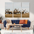 Elk Herd Wall Art Canvas Print, Framed Wildlife Photography Art, Majestic Antlers Rustic Wildlife Decor
