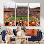 Tennessee Neyland Stadium Wall Art, Sports Arena Canvas, Home Bar Wall Decor