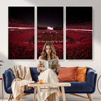 Dooley Stadium Wall Art, Sports Arena Canvas Print, Dooley Field Sanford Stadium