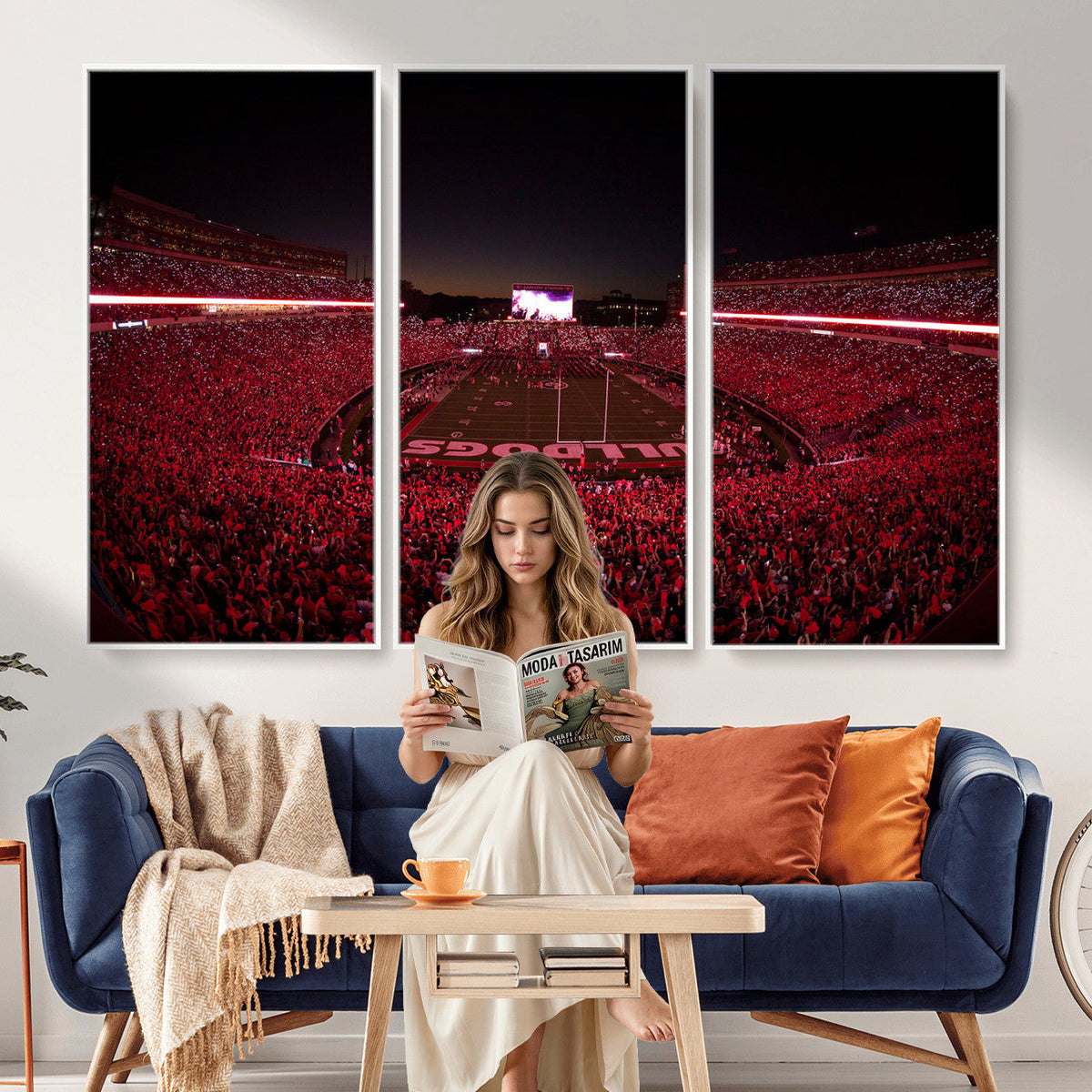 Dooley Stadium Wall Art, Sports Arena Canvas Print, Dooley Field Sanford Stadium