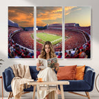 Dooley Stadium Wall Art, Sports Arena Canvas Print, Dooley Field, Framed and Ready to Hang