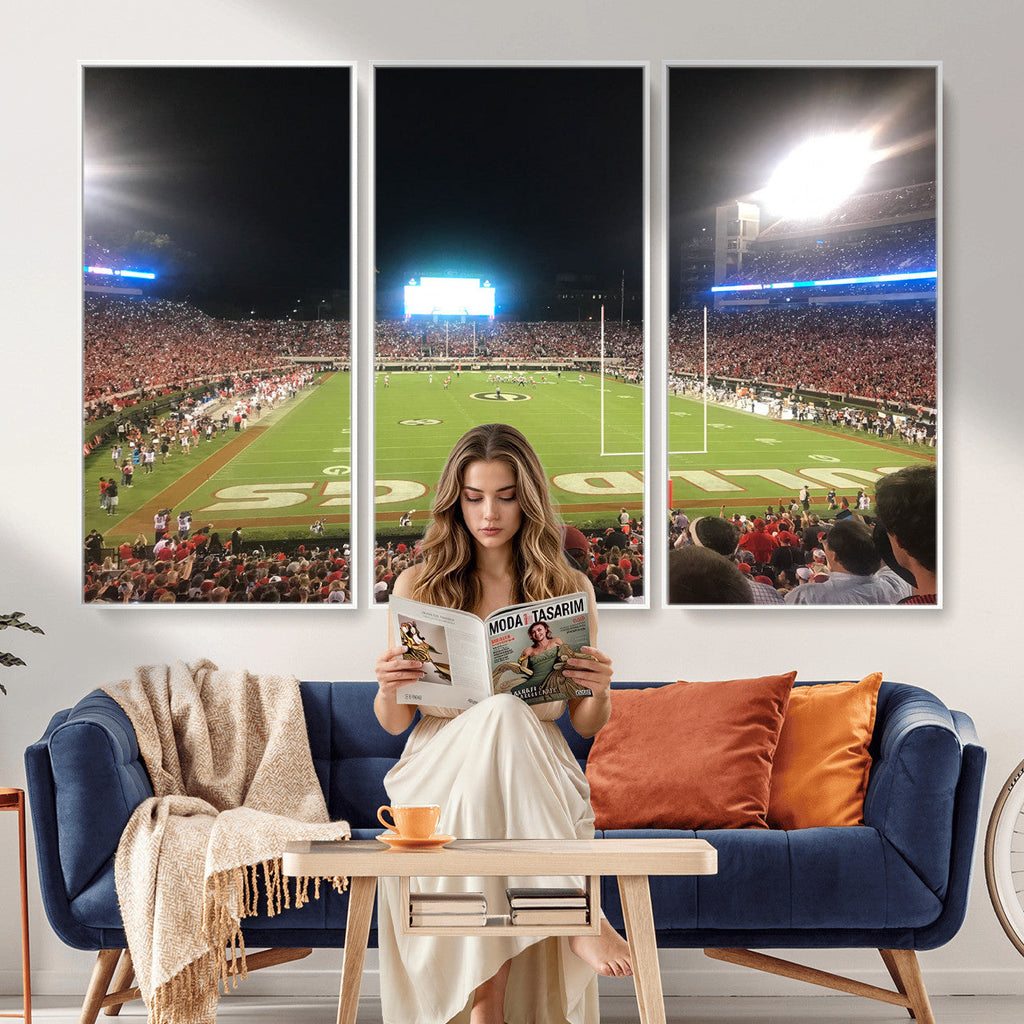 Dooley Stadium Wall Art, Sports Arena Panoramic Canvas