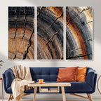 Abstract Tree Ring Wall Art Print, Natural Rustic Wood Grain Canvas