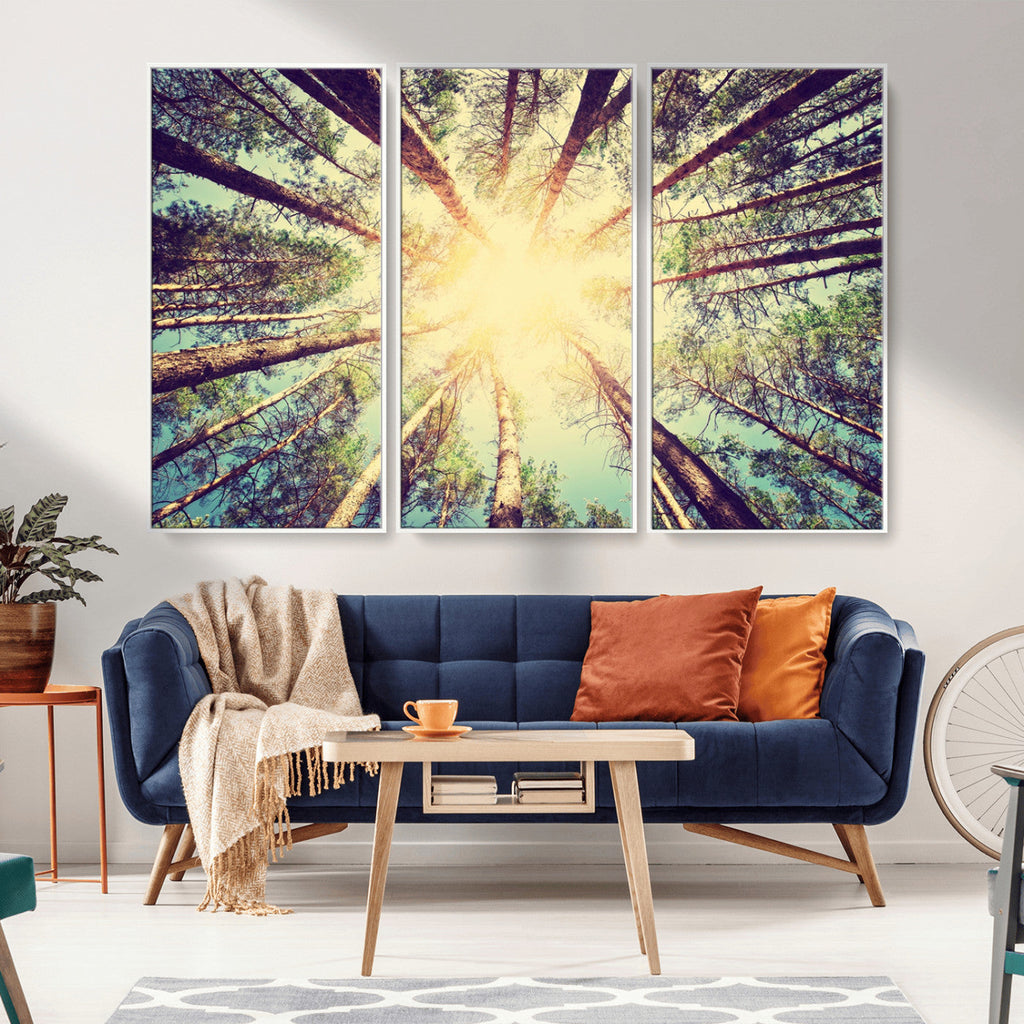 Tree and Sunshine Canvas Print