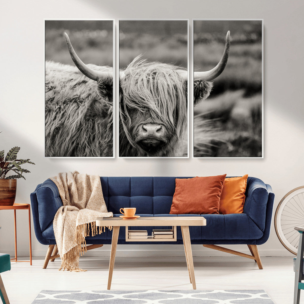 Cow Focus Canvas Wall Art Print