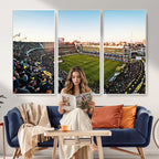 Boca Juniors Soccer Team Print, Buenos Aires Bombonera