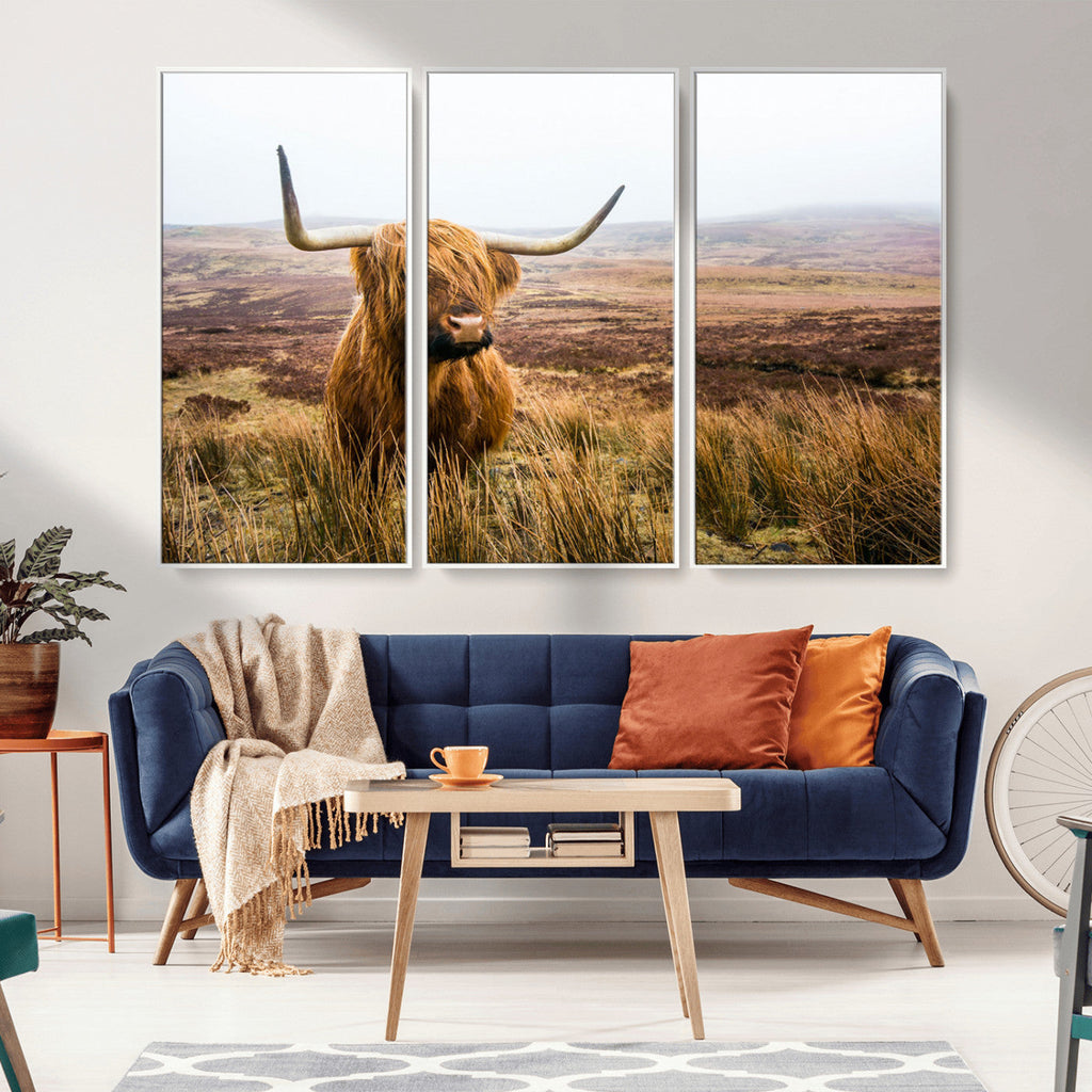 Scottish Highland Cow Canvas Wall Art, Rustic Farmhouse Decor
