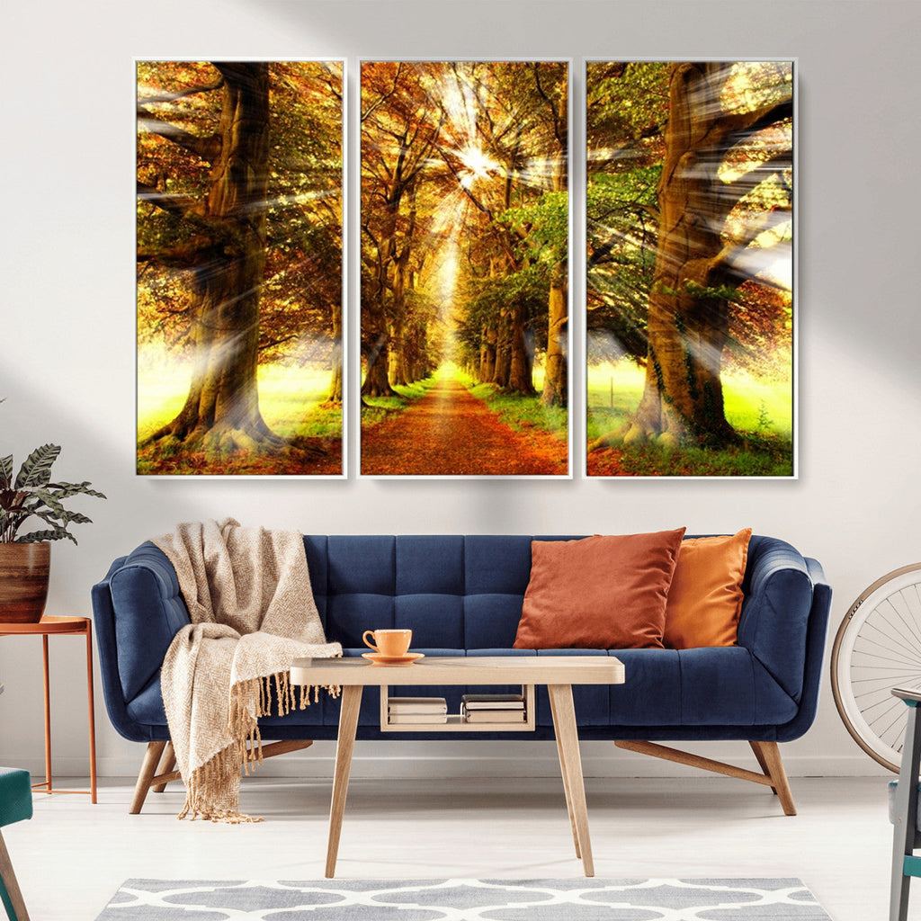 Sunshine in Forest and Trees Wall Art Canvas Print