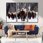 Bison Wall Art Canvas Print, Bison Herd Canvas Wall Art