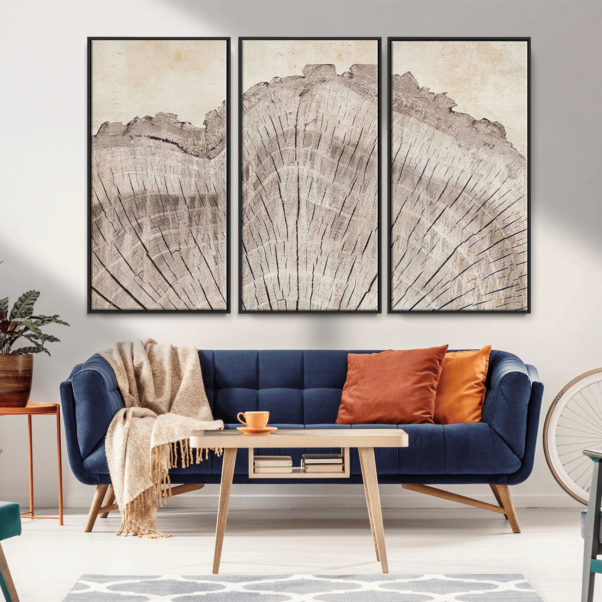 Tree Ring Wall Art Triptych, Rustic Wood Ring Canvas Print