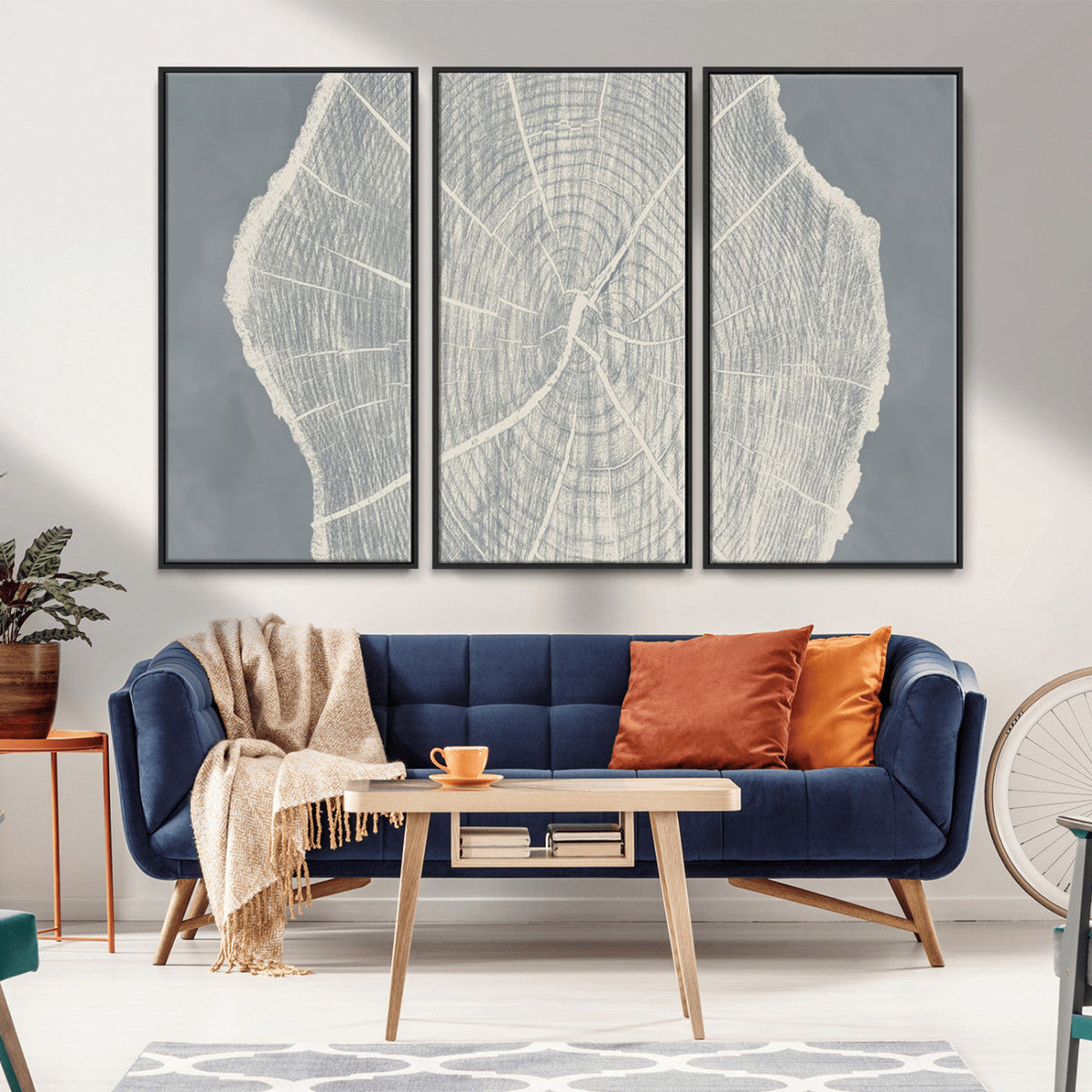 Abstract Tree Ring Wall Art Canvas Print, Framed and Ready to Hang