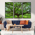 Ancient Tree Wall Art Canvas Print, Framed Sprawling Branches