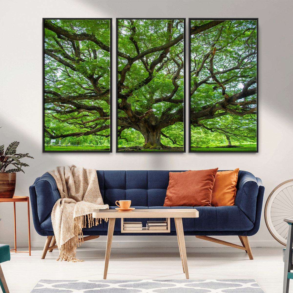 Ancient Tree Wall Art Canvas Print, Framed Sprawling Branches