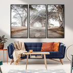 Cypress Tunnel Wall Art | Framed Misty Road Canvas Artwork