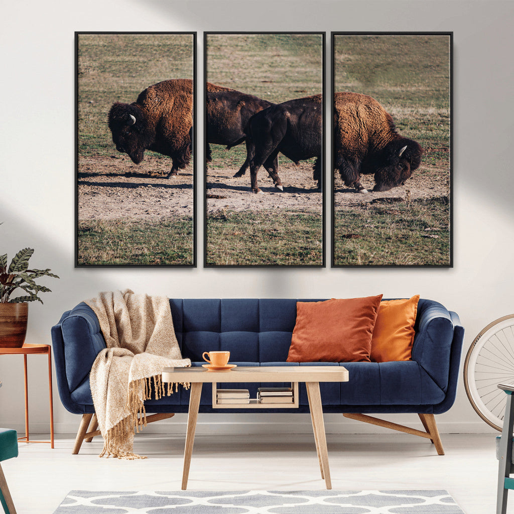 Bison Wall Art Canvas Print, Framed Western Wildlife Modern Ranch