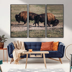Bison Wall Art Canvas Print, Framed Western Wildlife Modern Ranch