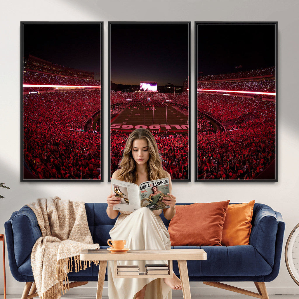 Dooley Stadium Wall Art, Sports Arena Canvas Print, Dooley Field Sanford Stadium
