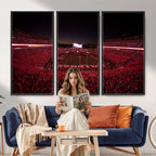 Dooley Stadium Wall Art, Sports Arena Canvas Print, Dooley Field Sanford Stadium