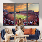Dooley Stadium Wall Art, Sports Arena Canvas Print, Dooley Field, Framed and Ready to Hang