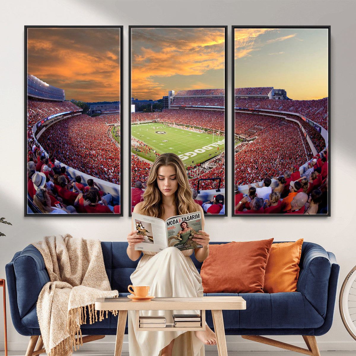 Dooley Stadium Wall Art, Sports Arena Canvas Print, Dooley Field, Framed and Ready to Hang