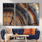 Abstract Tree Ring Wall Art Print, Natural Rustic Wood Grain Canvas