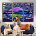 FC Porto Soccer Team Print Canvas, Dragon Stadium Wall Art