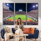 Wolfpack Football Team Print, Raleigh Carter-Finley Stadium