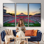 NC State Wolfpack Football Team Print Wall Art, Raleigh