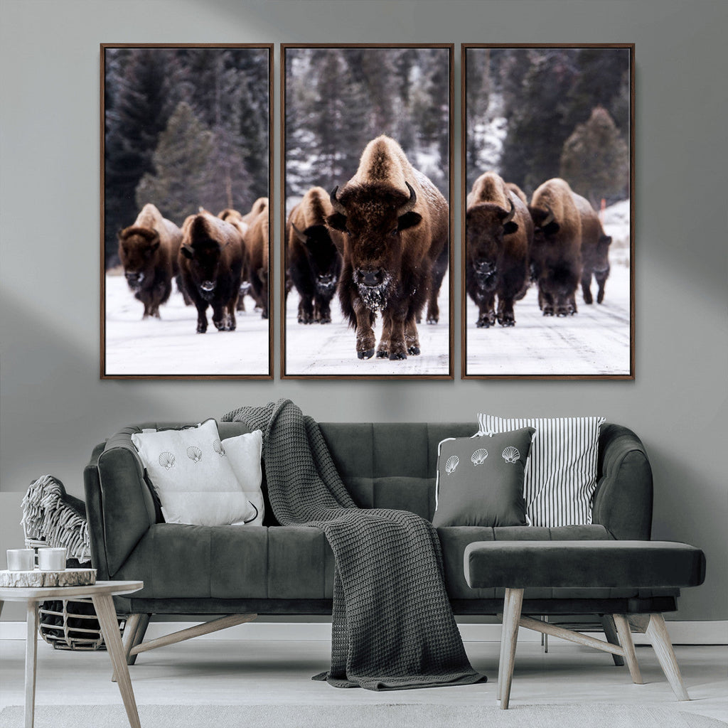 Bison Wall Art Canvas Print, Bison Herd Canvas Wall Art