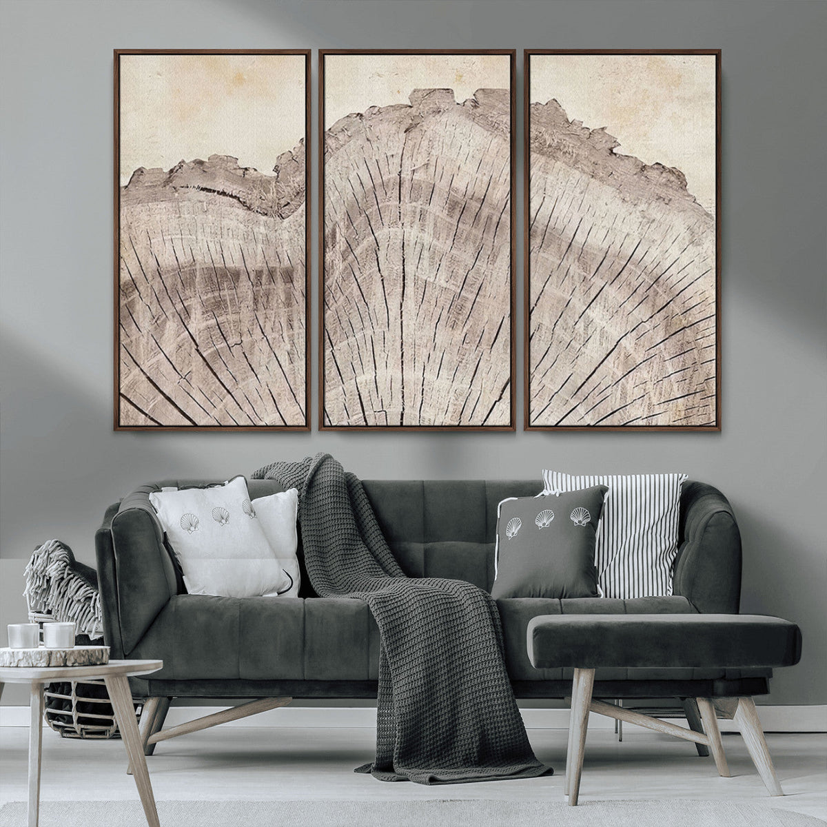 Tree Ring Wall Art Triptych, Rustic Wood Ring Canvas Print