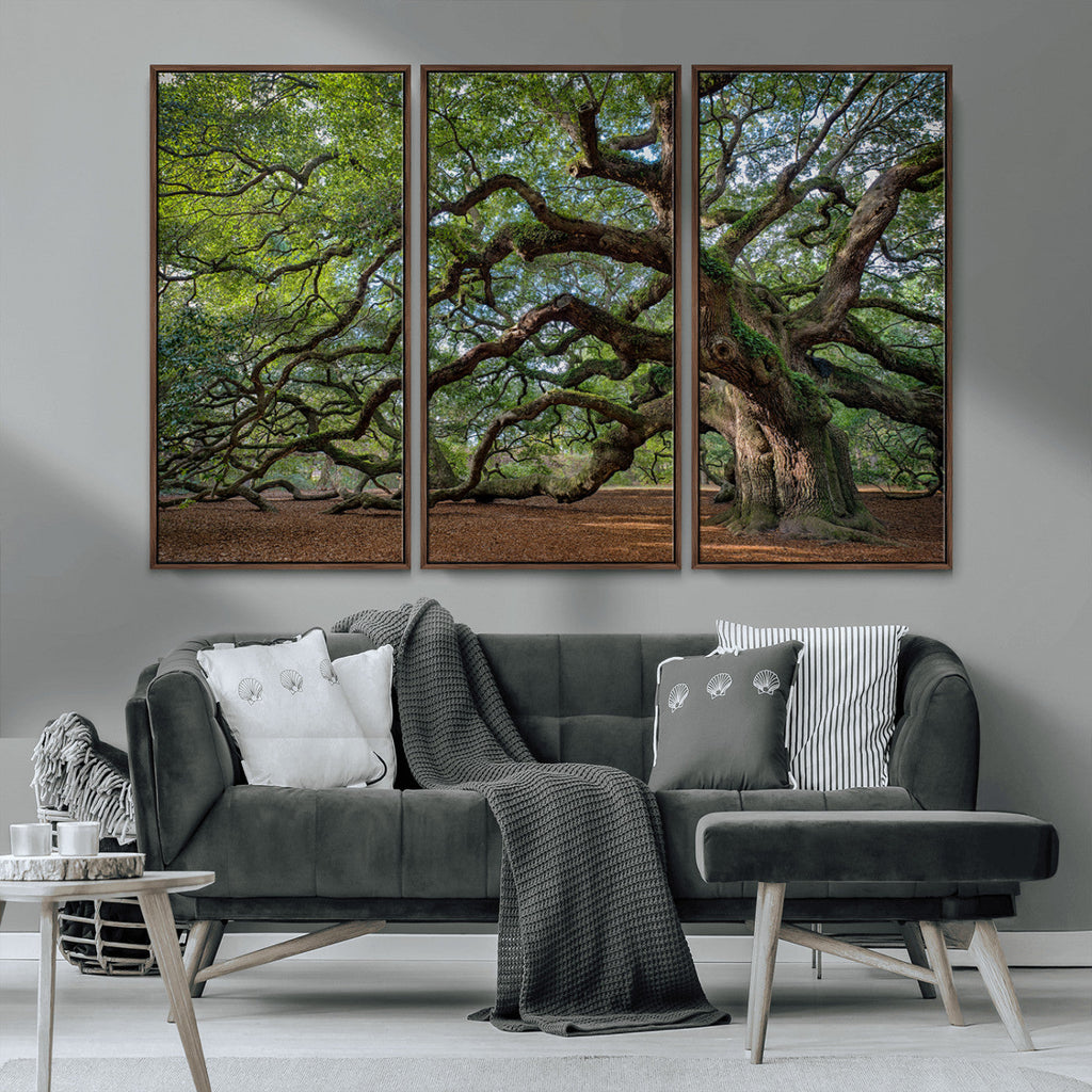 Historic Tree Wall Art | Framed Mossy Branch Canvas Artwork