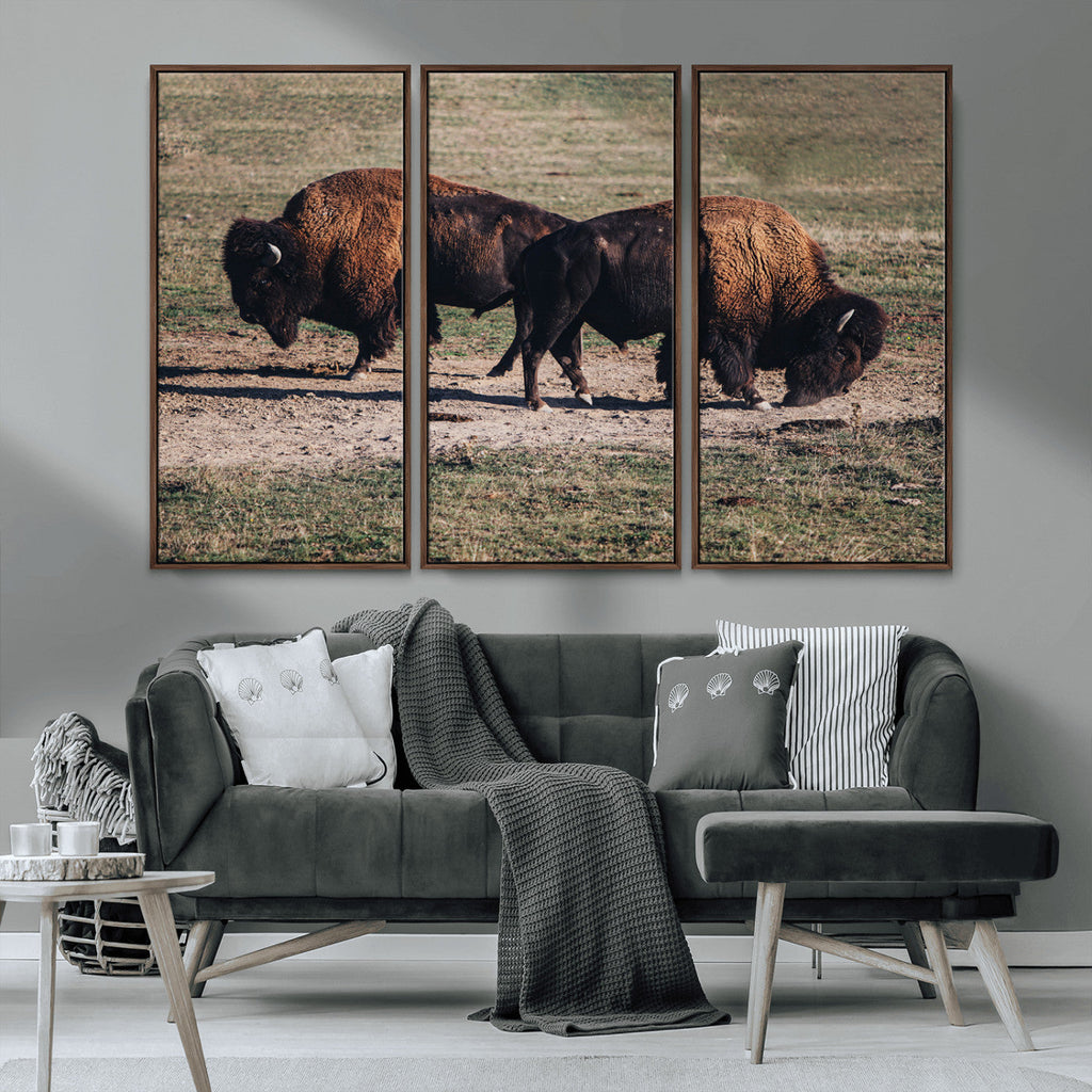 Bison Wall Art Canvas Print, Framed Western Wildlife Modern Ranch